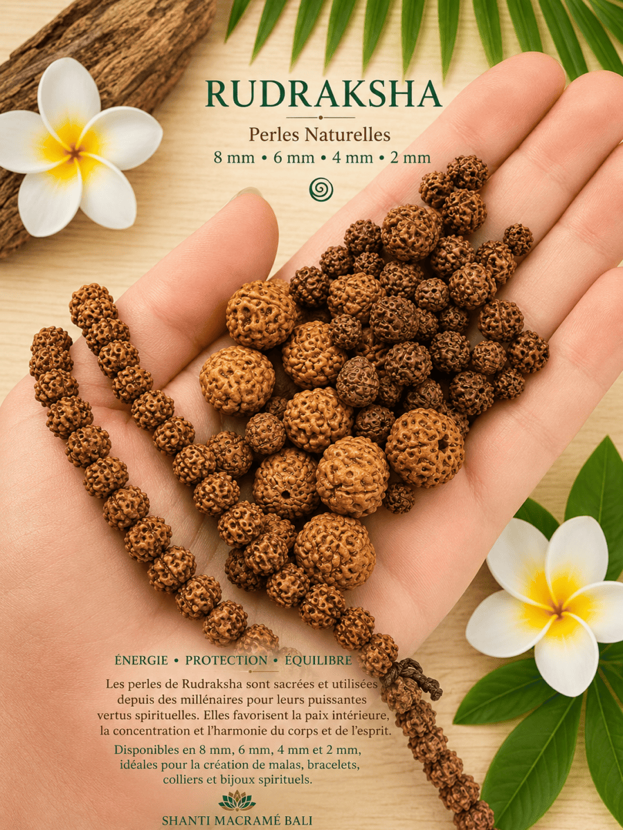 Rudraksha : vertus, signification et comment le porter